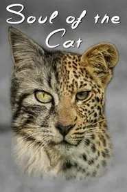 Soul of The Cat movie poster