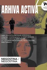 Negostina movie poster