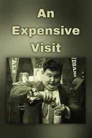 An Expensive Visit movie poster