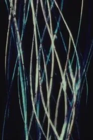 Jalousie movie poster