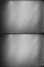 Poster do filme Untitled