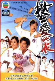 Aiming High tv show poster