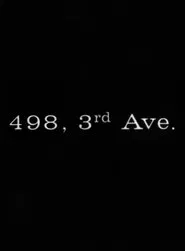 Poster do filme 498 Third Avenue