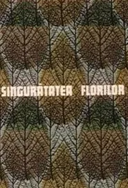 Singurătatea florilor movie poster
