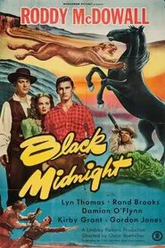 Black Midnight movie poster