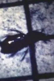INSECT movie poster