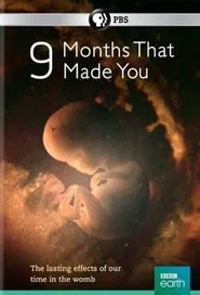9 Months That Made You tv show poster