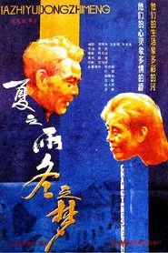 夏之雨 冬之梦 movie poster
