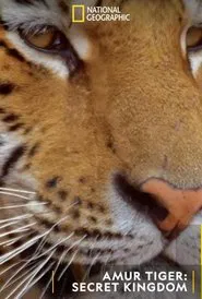 Siberian Tiger, The Secret Kingdom movie poster