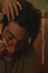 The Prinicples of Mnemonics movie poster