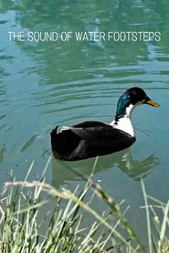 The Sound of Water Footsteps movie poster