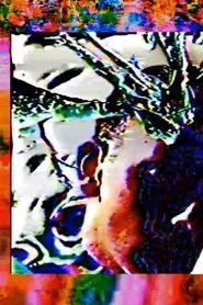 Flesh Intolerance: Final Transmission For Terrestrial Vertical Incarceration (A hyperstition) movie poster