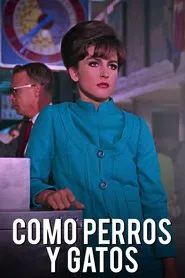 Como perros y gatos movie poster