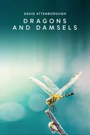 Dragons and Damsels movie poster