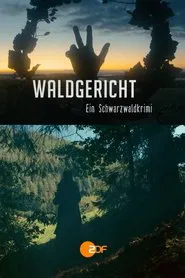 Waldgericht - Ein Schwarzwaldkrimi tv show poster