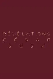 The Revelations 2024 movie poster