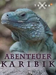Abenteuer Karibik movie poster