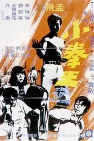 The King of Boxers movie poster