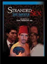 Poster do filme Sexo impostor