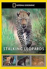 Stalking Leopards movie poster