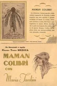 Poster do filme Mother Hummingbird