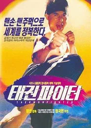 Taekwon Fighter movie poster