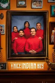 A Nice Indian Boy movie poster
