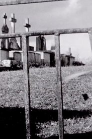 Passport Is Sound movie poster