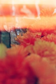 ofrenda movie poster