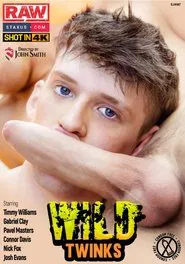 Poster do filme Wild Twinks