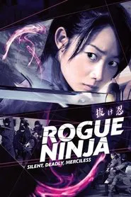 Poster do filme Rogue Ninja