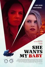 My Nanny Stole My Life movie poster