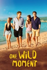 One Wild Moment movie poster