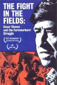 The Fight In The Fields movie poster