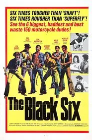 Poster do filme The Black Six