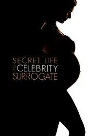 Secret Life of a Celebrity Surrogate movie poster