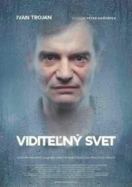 Visible World movie poster