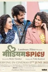 Medium Spicy movie poster