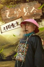 Donkey Magistrate of the Sandal Princess movie poster