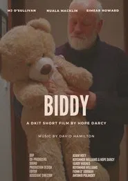 Biddy movie poster