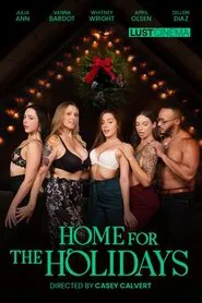 Home for the Holidays movie poster