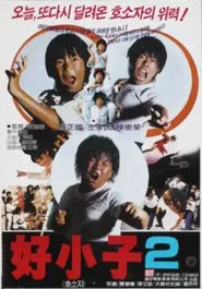 The Kung Fu Kids II movie poster