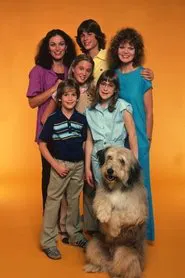 Poster da série A New Kind of Family