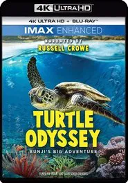 IMAX - 海龜世界 movie poster