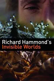 Richard Hammond's Invisible Worlds tv show poster
