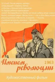 In the Name of the Revolution movie poster