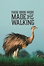 These Birds Were Made for Walking movie poster