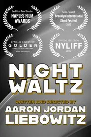 Poster do filme Night Waltz