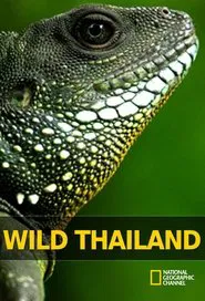 Wild Thailand tv show poster