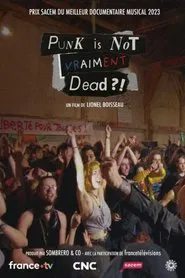 Punk is not vraiment dead ?! movie poster